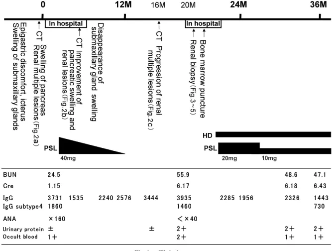 Fig.  2. Computed tomography