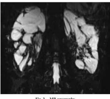 Fig.  5. Clinical course