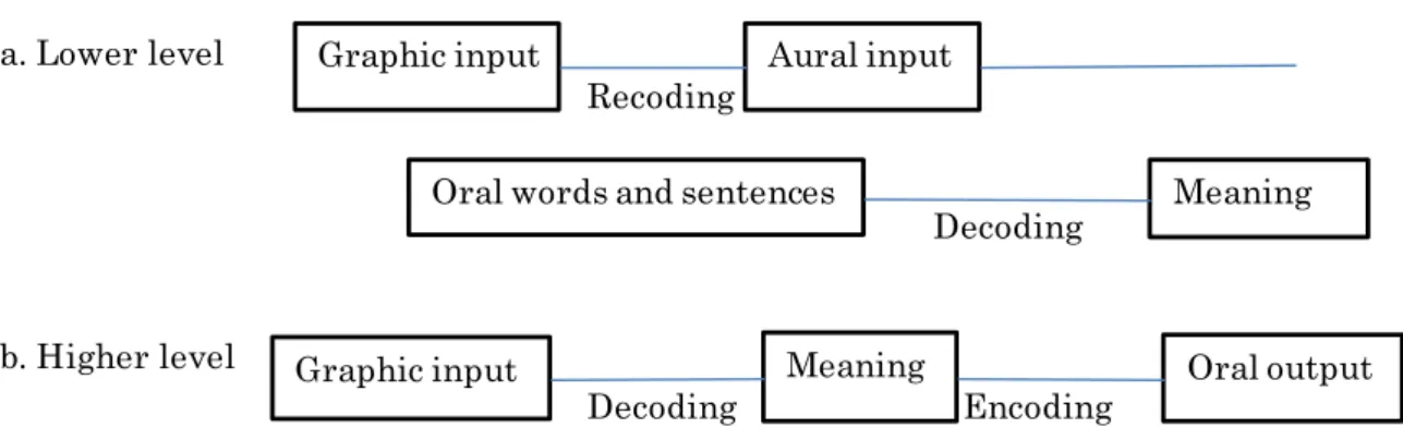 Figure 3.6.  Ito's oral reading model