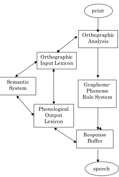 Figure 3.7.  Coltheart et al's  model print Orthographic AnalysisOrthographicInput LexiconSemanticSystemPhonologicalOutput LexiconResponseBufferGrapheme-Phoneme Rule Systemspeech