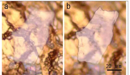 Figure  4.  Optical  micrographs  of  neutron-irradiated  HOPG  recovered  after the shock compression at 54 GPa