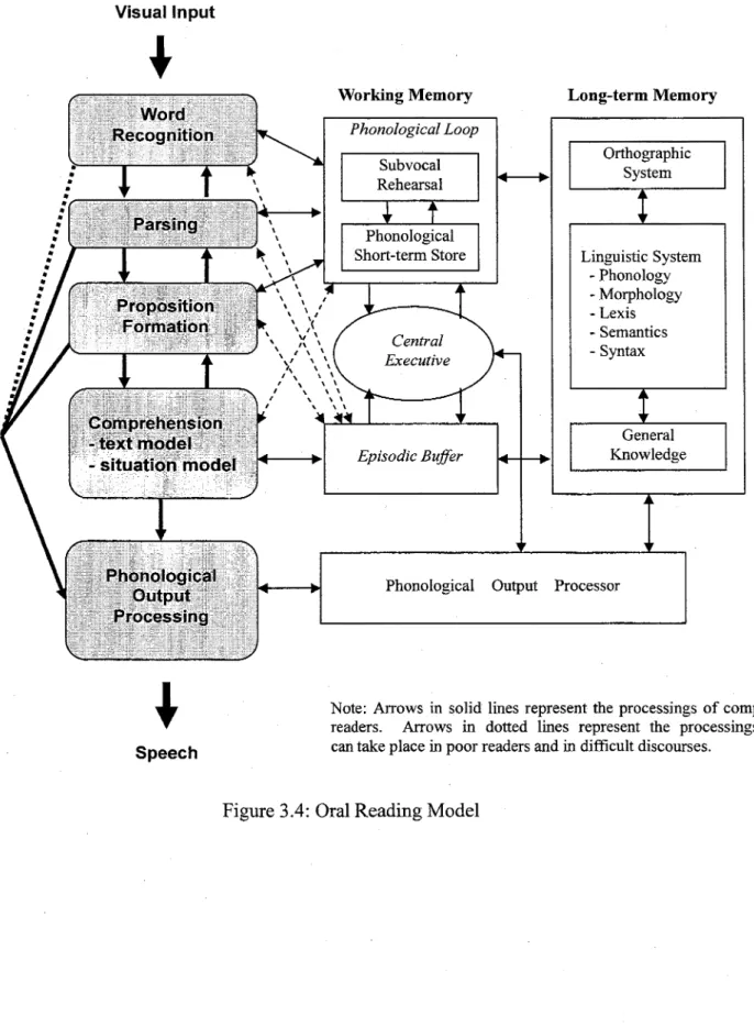 Figure 3.4: Oral Reading Model