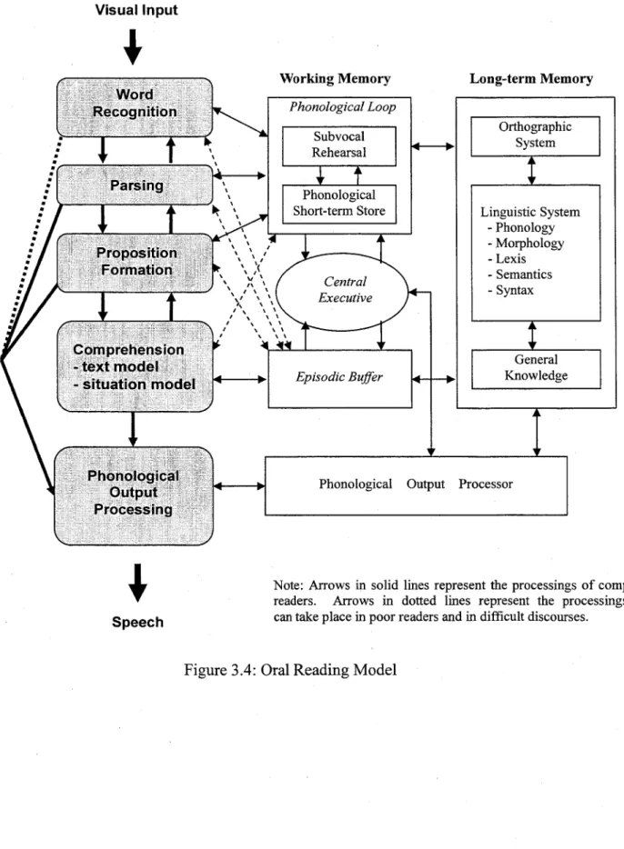 Figure 3.4: Oral Reading Model