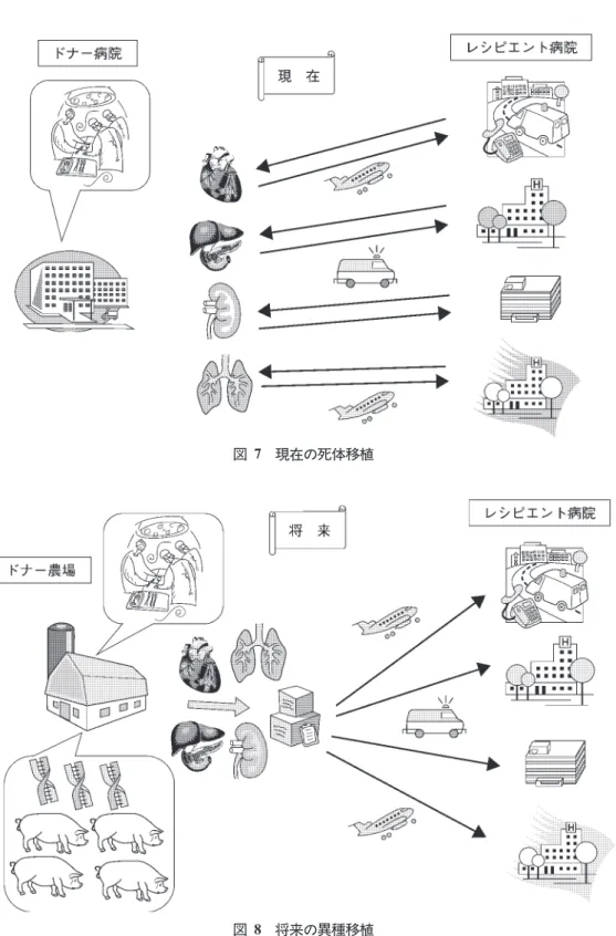 図 将来の異種移植図現在の死体移植