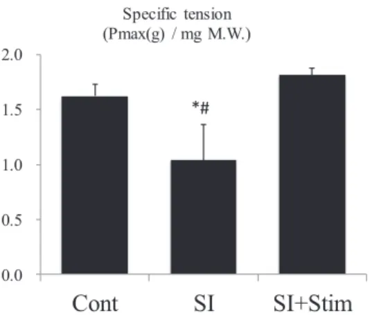 Figure 1.   Maximum isometric tension per soleus muscle mass after electrostimulation to  spinal cord-isolated rat hind limb.
