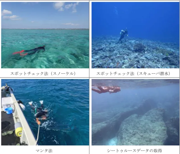 図  3.1-1  現地調査の実施状況 