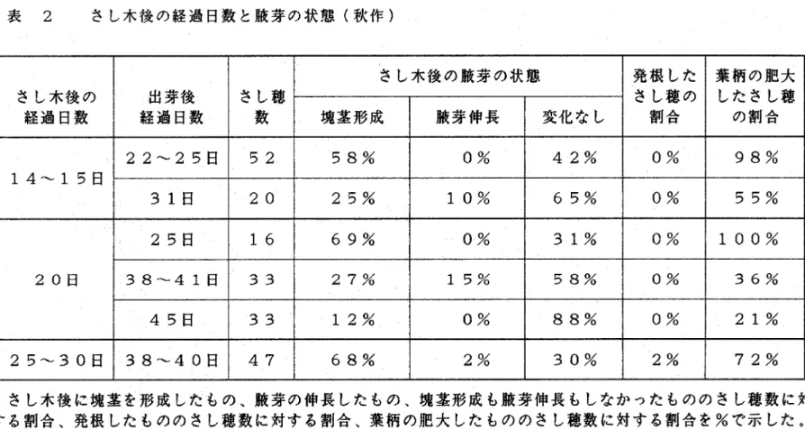 表 2  さし木後の経過日数と腋芽の状態（秋作） さし木牌の腋芽の状態 発根した ｳし穂の @割合 葉柄の肥大 ｵたさし穂@の割合さし木後の o過日数 出芽後 o過日数 さし穂 塊茎形成 腋芽伸長 変化なし 22〜25日 52 58％ 0％ 42％ 0％ 98％ 14〜15日 31日 20 25％ 10％ 65％ 0％ 55％ 25日 16 69％ O％ 31％ 0％ 100％ 20日 38〜41日 33 27％ 15％ 58％ 0％ 36％ 45日 33 12％ 0％ 88％ 0％ 21％ 25〜30日 