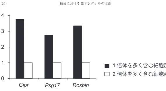 図 5. 17 日齢の野生型マウス精巣（17D）の遺伝子 発現 8W : 8 週 齢 の 野 生 型 マ ウ ス，Fat : 脂 肪 組 織 と MIN6 : マウスインスリノーマ細胞株は GIP 受容 体発現のポジティブコントロール），Liver : 肝と KO : GIP 受容体欠損マウスの精巣は GIP  受容体発 現のネガティブコントロール