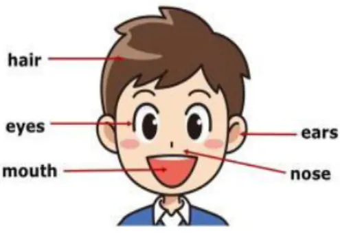 図 16 は、身体の一部としての mouth であり、ここから図 17 のような「カバンの口(mouth of a bag)」や図 18 のような「洞窟の口(mouth of a cave)」あるいは図 19 のような「川の口(mouth of a river)」などに拡張した｡