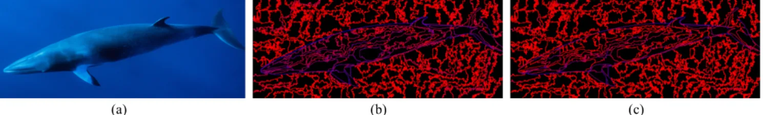 図  6  (a)：元画像，(b)：色分布項のみによる重み付け，(c)：境界形状項を併用した重み付け．重みが小さい境界は赤色，大 きい境界は青色に近くなるように色付けした．鯨の領域内部の境界の色を比較すると，(c)の方が(b)よりもより赤く色付けさ れている．  図  7  色分布項のみによる重み付け．左から順に，