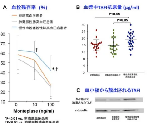 図 2.  慢性血栓塞栓性肺高血圧症患者における血栓残存率と TAFI 量  A:  対象とした患者の線溶能を評価している。慢性血栓塞栓性肺高血圧症患者で は線溶系による血栓溶解後も残存する血栓が多く、線溶能が低下していること が明らかになった。  B:  慢性血栓塞栓性肺高血圧症患者では血漿中の TAFI 抗原量が著明に増加して いることが示された。  C:  慢性血栓塞栓性肺高血圧症患者では血小板から放出される TAFI も著明に増 加していることが示された。 