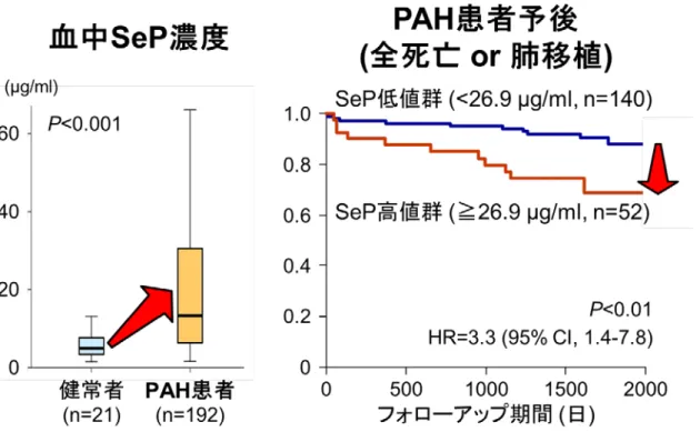 図 4. 肺動脈性肺高血圧症（PAH）では血中 SeP 濃度が上昇 