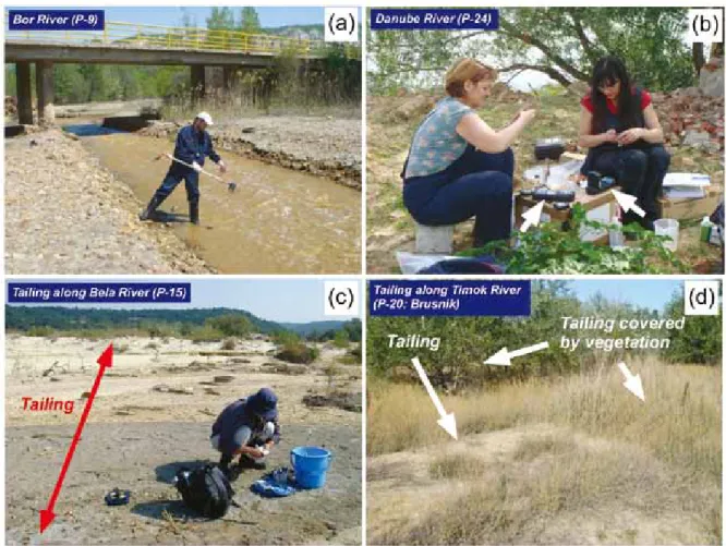 Fig. 2      Field survey in the field in the Bor mining area.    (a) Sampling of river water from Bor River