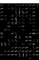 図 9 一定以上の強度を持つ輝度勾配の描画 における線分の描画方法 可視化画像 元画像との比較 図 10 一定以上の強度を持つ輝度勾配の描画 の可視化結果 ては，ある一定より大きい勾配強度を持つ勾配方向に対し て，図 9 のようにその勾配方向に対して垂直な線分をセル 内に描画するというものである．図 10 はこの表現方法で STHOG 特徴を可視化したものであり，正規化後の勾配強 度が 0.25 以上の輝度勾配を持つエッジのみを描画たもので ある．描画された線分の輝度値は勾配強度を示している． この方法は描