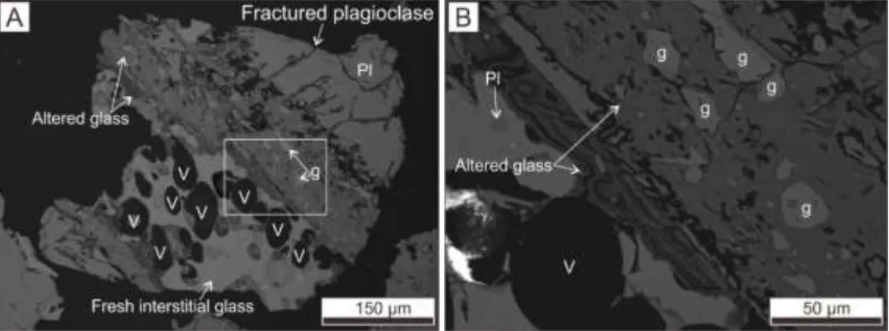 Figure  3.5.  Backscattered  electron  images  showing  the  examples  of  a  partly  altered  magmatic  juvenile in Unit 4 and 3