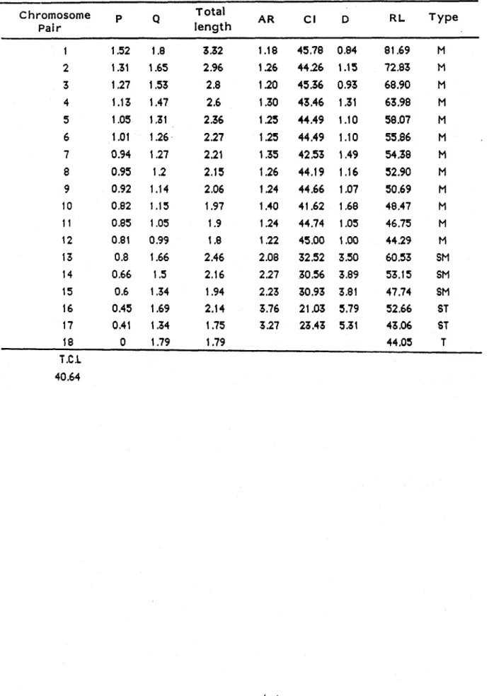 Table 1 j． Measurements， relative values and characteristics of ghromosomes Of Cerithide・P8i乙Zαdゴα4ゴαr伽sf8（K・Martin） Chromosome    Pair P Q Total ：ength AR Cl D RL Type 1234567891011㎏131415161718 慨轡麗棚鰍螂護鳴㎝σ8鷺㈱㎝・ β65邸綿引％貿2怨︒5的託5糾鈴瓢 111111111−101−11−1 蔑釜難纂嶺据