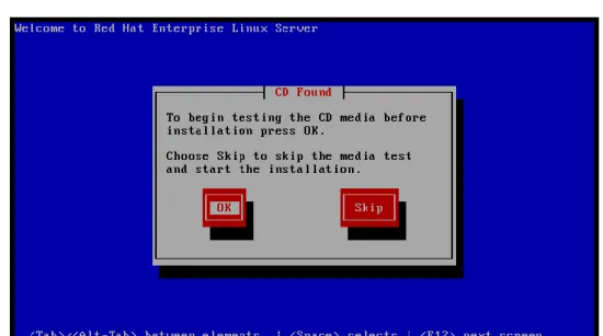 図  3-16    RHEL5 CD Found 