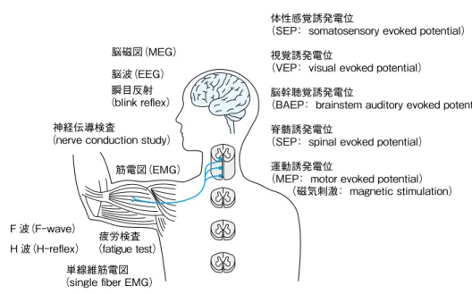 図 2 ●主な臨床神経生理学的検査 （health condition）健康状態 心身機能・身体構造 （body functions  &amp; structure） （activity）活動 参加 （participation） 図 3 ● ICF ： 生活機能分類