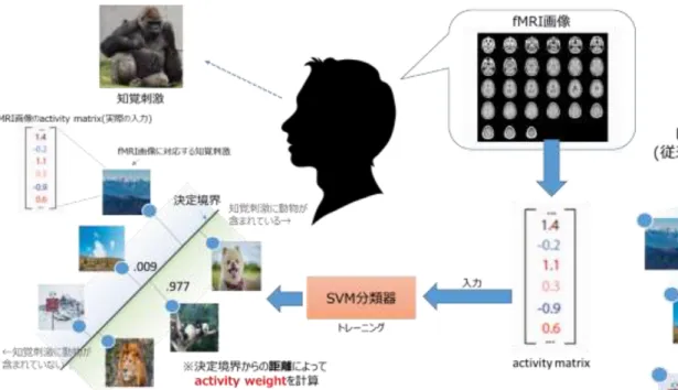 図 知覚刺激ごとのfMRI画像からactivity weightを導出