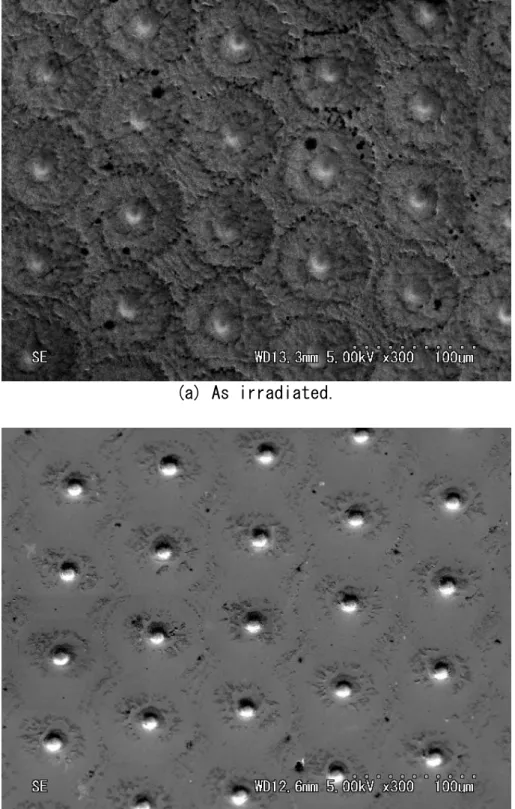 Fig. 2.3 SEM images of iron after laser-irradiation. 