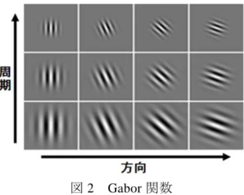 図 3 に示す特徴点を取得するために，修正弾性グラフマッチング法による特徴点探 索を行う．修正弾性グラフマッチング法とは， [8] で利用された弾性グラフマッチング