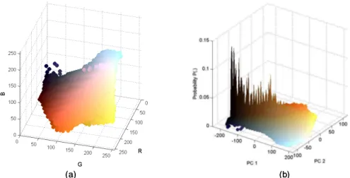 Fig. 1 (a) The original GI color space in RGB space. (b) Distribution of P(.) with the color components plotted in PCA space.
