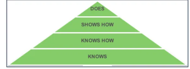 図 ２　医師養成を対象にした Framework for Clinical  Assessment 
