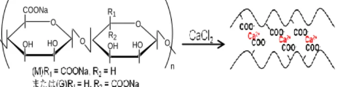 Fig.  5  The  chitosan  core  after  crosslinking  by  glutaraldehyde  for over 10 min.