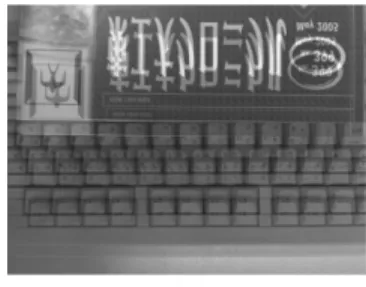 図 2 ２重反射像の例 Fig. 2 Image example