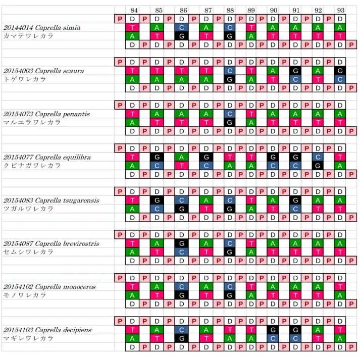 図 3  ワ レ カ ラ 属 8 種 の DNA モ デ ル （16S ribosomal RNA 領 域 ） 図 案 