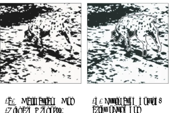 図 1: 隠し絵 ダルマチア犬 (Richard Gregory)(a) は予備知識なしには何が描かれているのか分か り難いが，その解釈が与えられると犬の輪郭 (b) が感じられる． このように，物体検出とは「何 ( 形状や内部の 模様 ) 」があるかがわかっているときに，それが 「あるか」あるとすれば「どこ」に「どんな姿勢」 であると考えれば良いかを求める問題であると 言える．あるいは，画素単位で考えたときには， ある画像が与えられたときに，それに含まれる個々の画素をそれぞれ前景と背景とのいずれか に識別