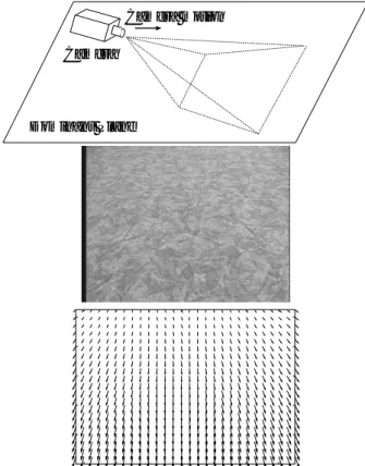 Figure 3: The difference of the optical flow between the dominant plane and obstacles