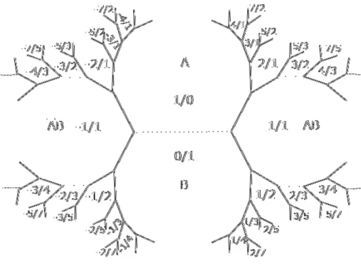 図 20: Farey 列 上のようにして原始的な行列 M p/q を作るとき，次の定理が本論文の主結果である． 定理 7.2. 任意の p/q ∈ Q ∪ {∞} に対し，M p/q は p/q に対応する一点穴あきトーラス上の曲線の Markoﬀ 行列である． 7.1 主結果（定理 7.2）の証明の準備 主結果を示すのに必要となる行列を次のようにおく． E := ( 0 −1 1 0 ) , S := ( 0 −11 −1 ) , T := ( 1 101 ) とおくと，ES = ( −1 10 −1 