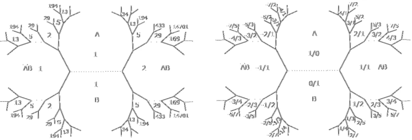 図 23: Markoﬀ 数に関する Markoﬀ 樹 図 24: p/q − 曲線 の対応 7.4 Markoﬀ 行列であるかの判定における現状の問題点 前節では Markoﬀ 行列の具体的な作り方を述べた．Markoﬀ 行列の作り方からも分かる通り，tr(M p/q ) = 3 |c(M p/q ) | という条件は，M p/q が Markoﬀ 行列であるための必要条件であるが，十分条件ではない．その ため，帰納的かつ網羅的に Markoﬀ 行列を作ることができても，ある行列の成分をみただけで Mar