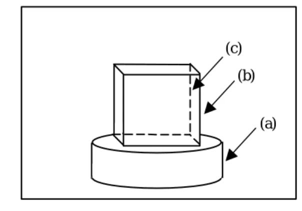 図 5 エッジの分類（a: apparent edge b: fixed edge  c: occluded edge ）