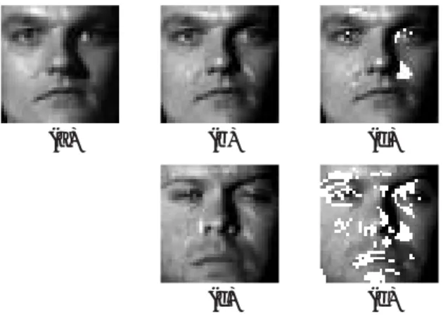 Figure 6: Recognition process: (a) a test image, (b) an image synthesized from three basis images of the same person, (c) an image synthesized from those of different person
