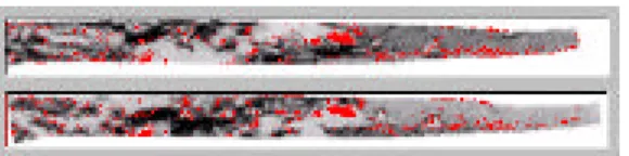 Fig. 16. Result of mutual matching