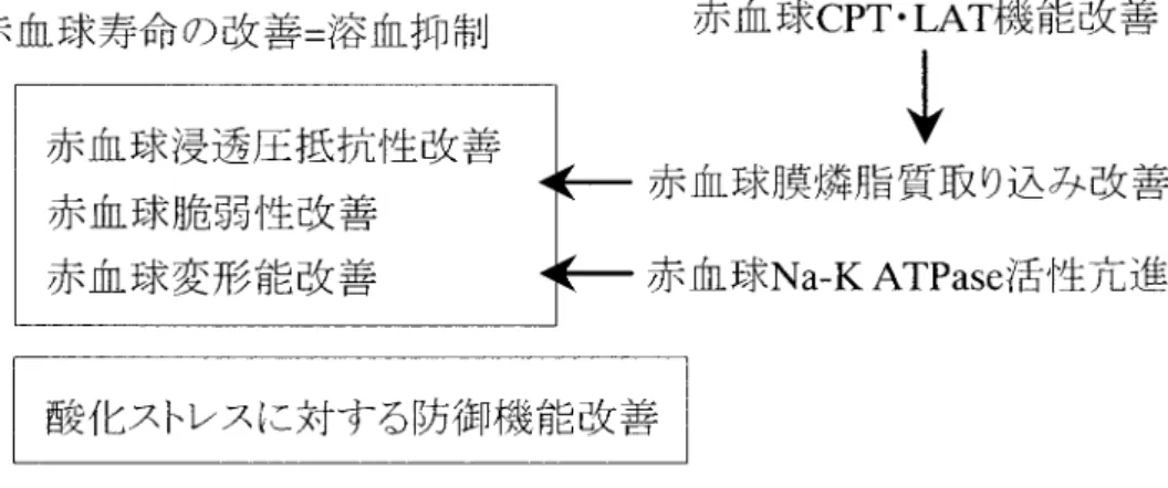 図 5 L カルニチン補充による腎性貧血改善効果の機序（推定）