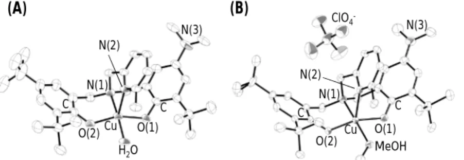 図 3.  銅錯体の結晶構造: (A) [Cu(Me 2 NL)(H 2 O)] (3), (B) [Cu(Me 2 NL)(MeOH)]ClO 4 , (4)    ５．主な発表論文等 