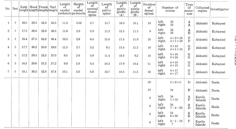 Table 6. Mesuring results of each part of the body ; body height, head length, trunk length, tail length, length and height of caudal peduncle, length of central dorsal spine, pelvic spine and pelvic girdle (A) and (B), number of dorsal spines and scutes, 