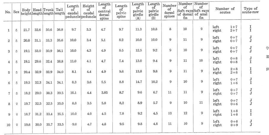 Table 7. Mesuring results of each part of the body, body height, head length, trunk length, tail length, length and height of caudal peduncle, length of central dorsal spine, pelvic spine and pelvic girdle (A) and (B), number of dorsal spines and scales, a