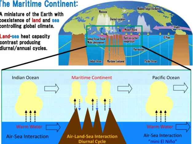 図 1  インドネシア「海大陸」の気候変動における重要性を示す模式図 