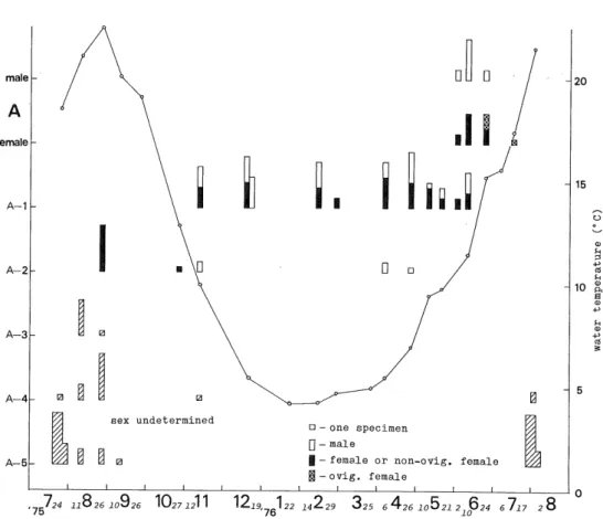 Fig. 2. Seasonal occurrence of the developmental stages of Bathyleberis yamadai on the basis of 193 specimens.