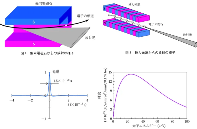 図 1 偏向電磁石からの放射の様子 図 2 左：偏向電磁石を通過する電子から放射される電場パルス，右：スペクトル分布（SPirng8 の場 合） 図 3 挿入光源からの放射の様子が円軌道を描く際に接線方向に放射が集中する。定性的には加速された電子からの双極子放射が，相対論的効果により 1/g 程度の角度広がりをもつコーンとして電子の進行方向に集中するということで説明される。ここで，g はローレンツ因子であり，電子の運動エネルギーを静止エネルギーで規格化した相対エネルギーである。具体的には 2.5 GeV 