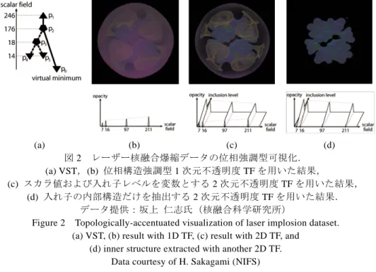 Figure 2  Topologically-accentuated visualization of laser implosion dataset.   