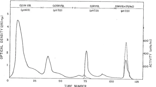 Fig. 1. Column chromatography of the crude enzyme on DEAE-cellulose, DEAE-cellulose column, 2 x 50 cm, equilibratfid with 0.1M phosphate buffer (pH 6
