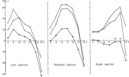 Fig. 3 Diurnal changes in the altitude angle of 3 leaflets in the first leaf.