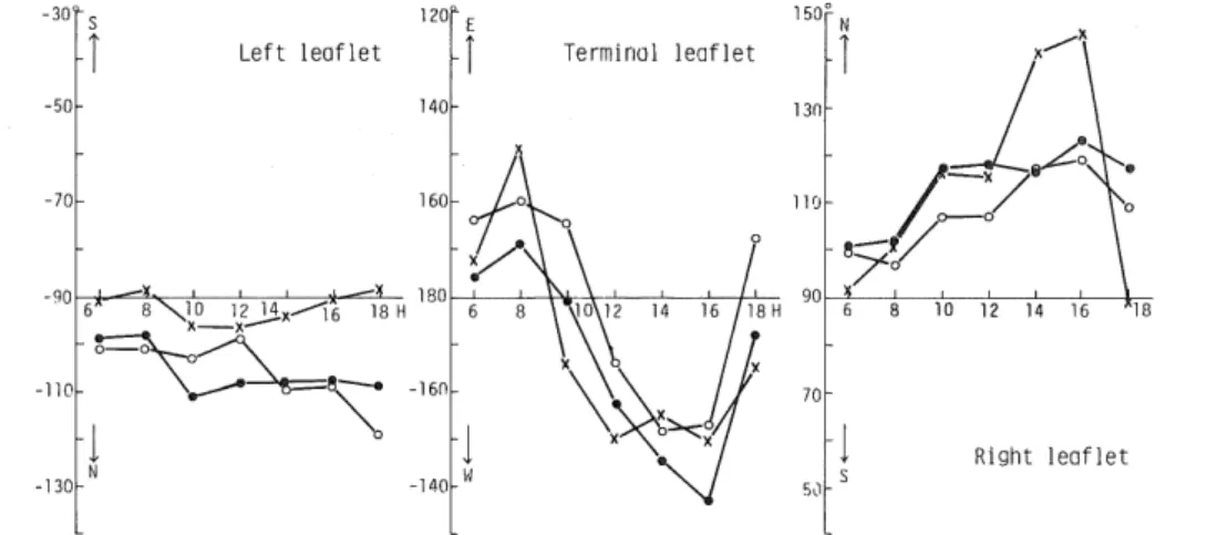 Fig. 5 Diurnal changes in the azimuth angle of 3 leaflets in the first leaf. Symbols;