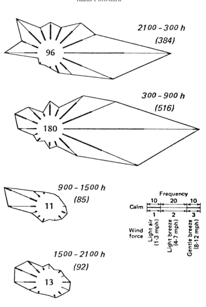 Fig. 11. The wind condition during fog.
