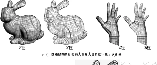 図 6  ストリームラインの表示と再メッシュ化の結果 